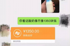 罗江如果欠债的人消失了怎么查找，专业讨债公司的找人方法